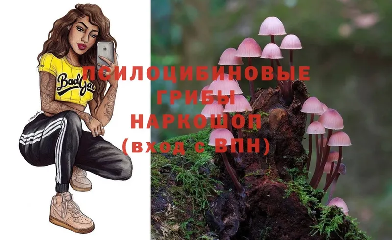 Галлюциногенные грибы Psilocybe  купить наркотик  Разумное 